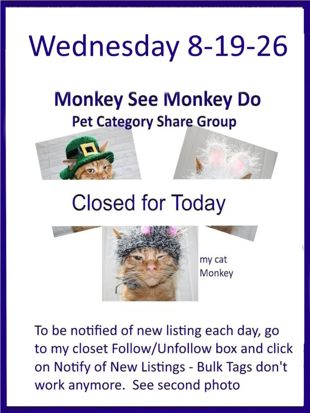 Wednesday 8-19-26 Dog Cat Small Animal Pet Share Discussion Group